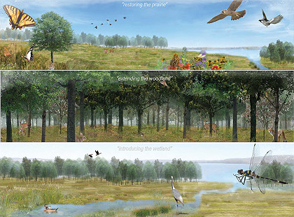 A rendering by Landyn Green, a landscape architecture student in the Fay Jones School of Architecture and Design.   © Fay Jones School of Architecture and Design