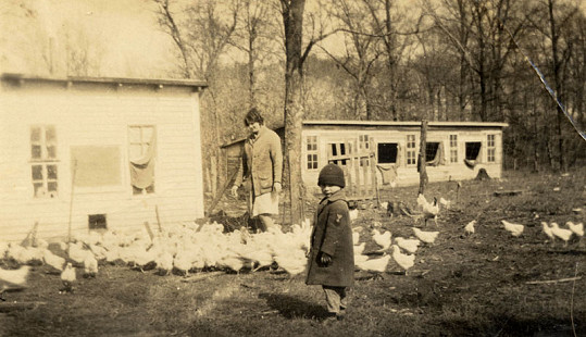 Woman and child tending the chickens, ca. 1929, from the Kilkare Home Demonstration scrapbook; Blanche Hanks Elliott Papers MC1272 © Pryor Center for Arkansas Oral and Visual History, University of Arkansas