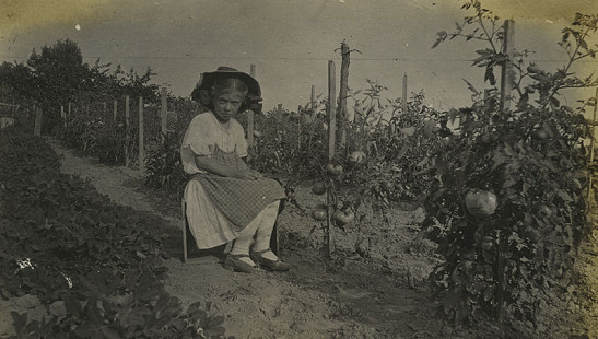 Young girl from the "Tomato" Girls Club in 1912; Mabelvale Home Demonstration Club Records MC1640 © Pryor Center for Arkansas Oral and Visual History, University of Arkansas