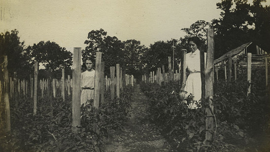 Two women from the "Tomato" Girls Club in 1912; Mabelvale Home Demonstration Club Records MC1640 © Pryor Center for Arkansas Oral and Visual History, University of Arkansas