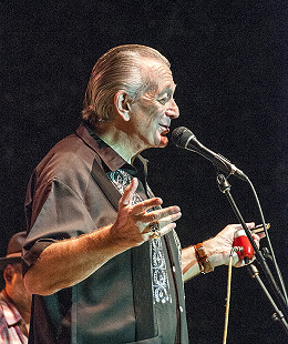 Charlie Musselwhite onstage at the Arkansas Blues and Heritage Festival; 2010 © Eric Gorder 2010; egorder@gmail.com